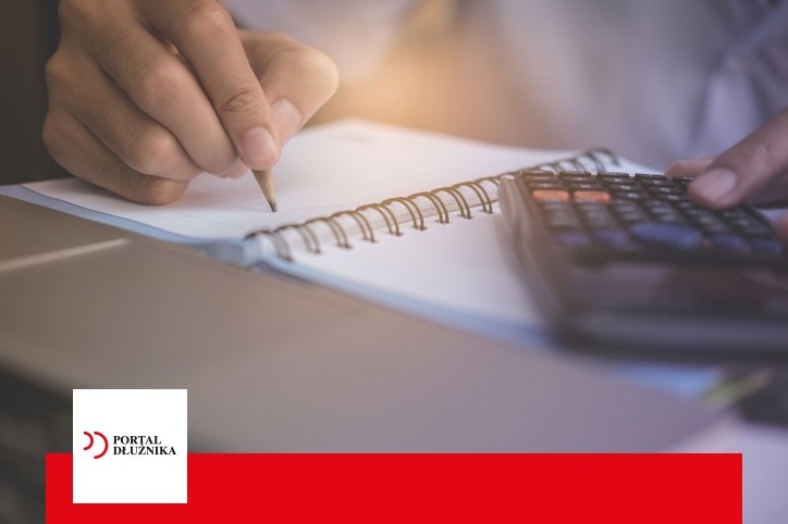 profesjonalny wniosek o ogłoszenie upadłości