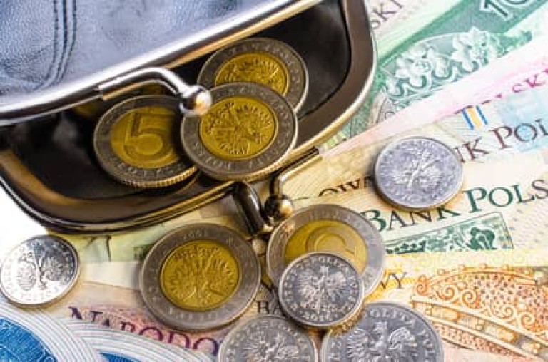 Polish Zloty in black purse and coins on a white background.